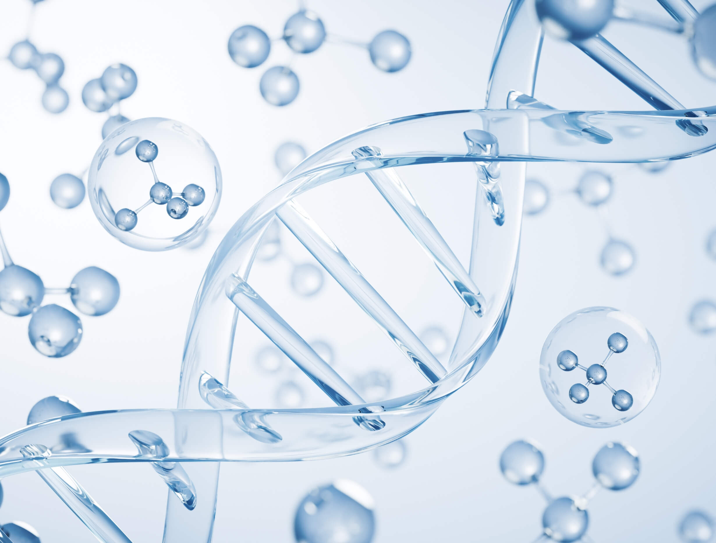 乾燥肌について