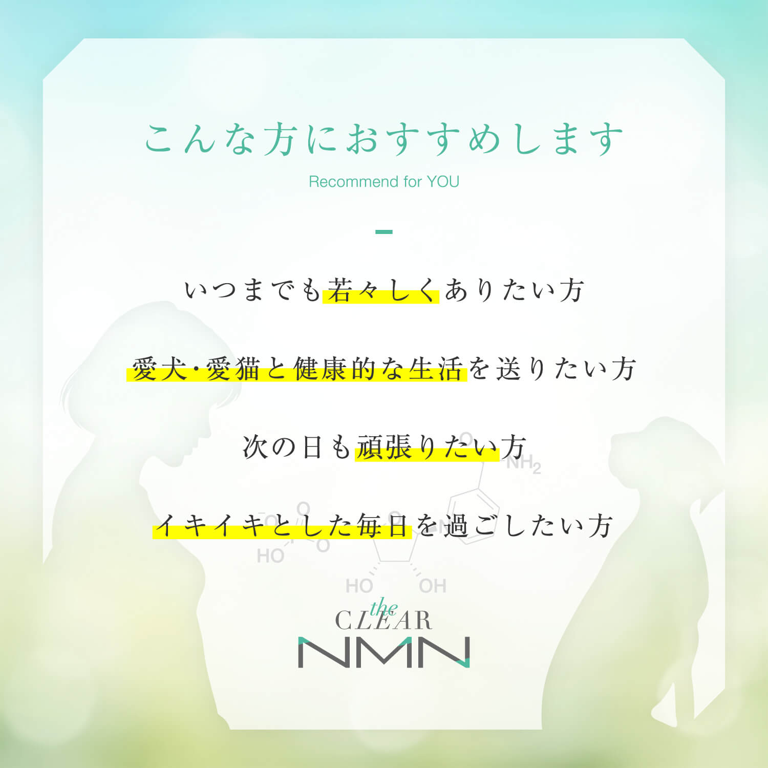 (社員専用)the CLEAR NMN+CoQ10