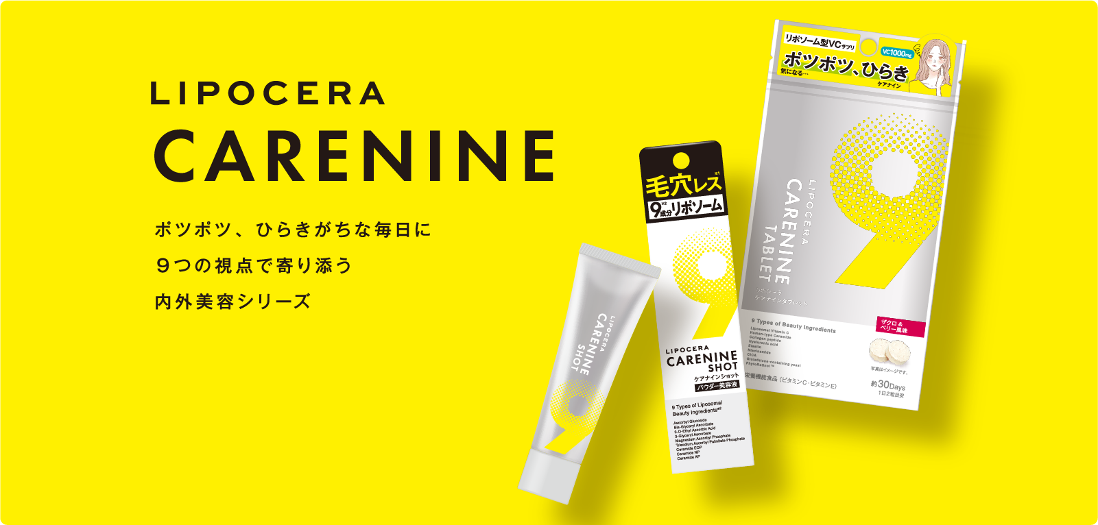 LIPOCERA CARENINE